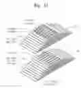 Fig. 11 - Semiconductor memory devices including asymmetric word line pads