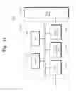 Fig. 32 - Semiconductor memory devices including asymmetric word line pads