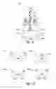 Fig. 03 - Spin torque transfer memory cell structures and methods