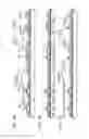 Fig. 05 - Light emitting device and method of manufacturing the same