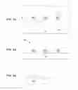 Fig. 02 - Fabrication process for mitigating external resistance of a multigate device