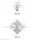 Fig. 23 - Monolithic integration of plenoptic lenses on photosensor substrates