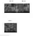 Fig. 04 - Three-layer core-shell nanoparticles for manufacturing solar cell light absorption layer and method of manufacturing the same
