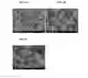 Fig. 06 - Three-layer core-shell nanoparticles for manufacturing solar cell light absorption layer and method of manufacturing the same