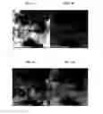Fig. 07 - Three-layer core-shell nanoparticles for manufacturing solar cell light absorption layer and method of manufacturing the same