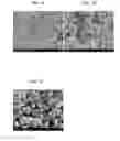 Fig. 08 - Three-layer core-shell nanoparticles for manufacturing solar cell light absorption layer and method of manufacturing the same