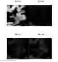 Fig. 10 - Three-layer core-shell nanoparticles for manufacturing solar cell light absorption layer and method of manufacturing the same