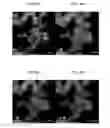 Fig. 12 - Three-layer core-shell nanoparticles for manufacturing solar cell light absorption layer and method of manufacturing the same