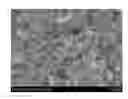 Fig. 01 - Ink composition for manufacturing light absorption layer of solar cells and method of manufacturing thin film using the same