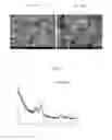 Fig. 02 - Ink composition for manufacturing light absorption layer of solar cells and method of manufacturing thin film using the same