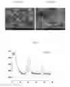 Fig. 04 - Ink composition for manufacturing light absorption layer of solar cells and method of manufacturing thin film using the same