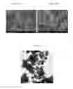 Fig. 07 - Ink composition for manufacturing light absorption layer of solar cells and method of manufacturing thin film using the same