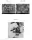 Fig. 09 - Ink composition for manufacturing light absorption layer of solar cells and method of manufacturing thin film using the same