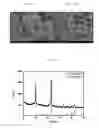 Fig. 10 - Ink composition for manufacturing light absorption layer of solar cells and method of manufacturing thin film using the same