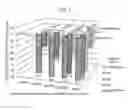 Fig. 10 - Deep ultraviolet LED and method for manufacturing the same