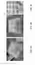 Fig. 09 - FUNCTIONAL AND DURABLE THERMOELECTRIC DEVICES AND SYSTEMS