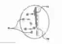 Fig. 01 - METHOD OF MAKING LEAD-FREE CERAMIC COATING