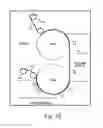 Fig. 11 - MANUFACTURING FLEXIBLE ORGANIC ELECTRONIC DEVICES