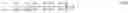 Fig. 23 - Purification of carbon nanotubes via selective heating