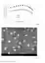 Fig. 05 - Method for producing an organic component and organic component comprising an arrangement of isolated metal particle nanoclusters