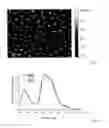 Fig. 06 - Method for producing an organic component and organic component comprising an arrangement of isolated metal particle nanoclusters