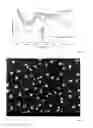 Fig. 07 - Method for producing an organic component and organic component comprising an arrangement of isolated metal particle nanoclusters