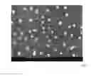 Fig. 08 - Method for producing an organic component and organic component comprising an arrangement of isolated metal particle nanoclusters