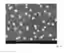 Fig. 09 - Method for producing an organic component and organic component comprising an arrangement of isolated metal particle nanoclusters