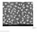Fig. 10 - Method for producing an organic component and organic component comprising an arrangement of isolated metal particle nanoclusters