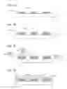 Fig. 08 - Light-emitting element including EL layer, electrode which has high reflectance and a high work function, display device, electronic device, and lighting device