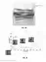 Fig. 08 - Rate-sensitive and self-releasing battery cells and battery-cell structures as structural and/or energy-absorbing vehicle components