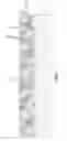 Fig. 04 - Methods for forming porous materials