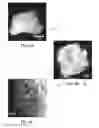 Fig. 07 - Methods for forming porous materials