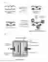 Fig. 03 - COMPOSITE HAVING METAL FLUORIDE AND POROUS CARBON, METHOD FOR PREPARING THE SAME, AND LITHIUM ION BATTERY COMPRISING THE SAME