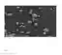 Fig. 02 - NOVEL COMPOSITE CONDUCTIVE MATERIAL