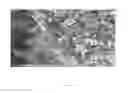 Fig. 04 - NOVEL COMPOSITE CONDUCTIVE MATERIAL