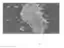 Fig. 06 - NOVEL COMPOSITE CONDUCTIVE MATERIAL