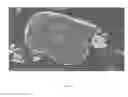 Fig. 10 - NOVEL COMPOSITE CONDUCTIVE MATERIAL