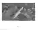 Fig. 11 - NOVEL COMPOSITE CONDUCTIVE MATERIAL