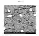 Fig. 07 - ELECTRODE FOR RECHARGEABLE LITHIUM BATTERY AND RECHARGEABLE LITHIUM BATTERY INCLUDING THE SAME