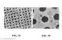 Fig. 04 - CATALYST LAYER WITH THROUGH-HOLES FOR FUEL CELLS