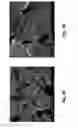 Fig. 07 - Solid-state electrolytes and batteries made therefrom, and methods of making solid-state electrolytes