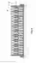 Fig. 07 - Connector structure with retractable terminal