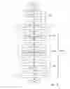 Fig. 45 - Power network system, and power adjustment apparatus and method