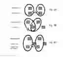 Fig. 04 - Selectable coil array