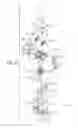 Fig. 06 - 5-pole based wye-delta motor starting system and method