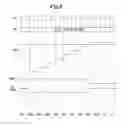 Fig. 10 - Skew adjustment circuit and skew adjustment method