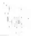 Fig. 02 - Duplex unit