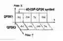Fig. 01 - Method of optical data transmission using polarization division multiplexing and QPSK