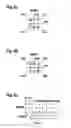 Fig. 03 - Method of optical data transmission using polarization division multiplexing and QPSK